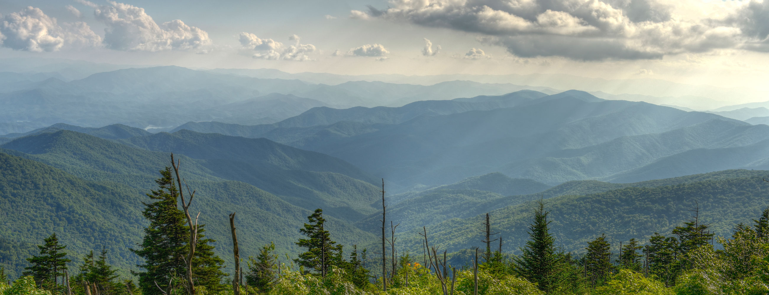 les bananes de roland