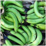 banannes vertes